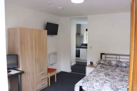 Superior Studio in Basement - Photo 4