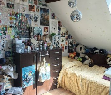 Colocation chaleureuse - Photo 4