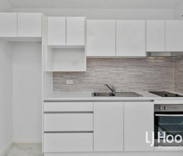 Ultra-Modern Studio Living - Private Grassed Courtyard with Garden ... - Photo 4