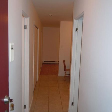 appartement 4½ tout inclus CÉGEP/UQAC - Photo 4