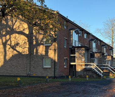 1 Bedroom Flat For Rent - Photo 4