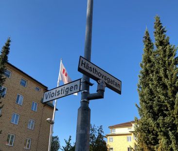 Hästhovsgatan 14 - Foto 3