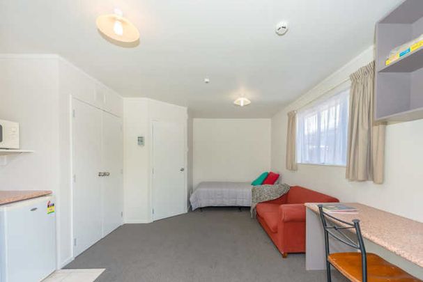 These fully furnished studio units have fresh carpet and paint, creating a bright, warm, and inviting space. - Photo 1
