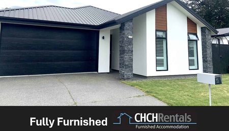 Fully Furnished Stunning Modern Family Home in Quiet Subdivision! - Photo 5