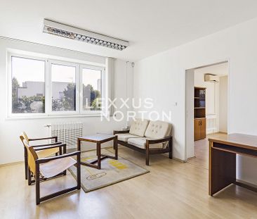 Pronájem domu 273 m² s pozemkem 824 m² - Photo 1