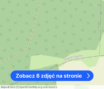 Apartament dwupoziomowy w Siemianicach - Zdjęcie 1