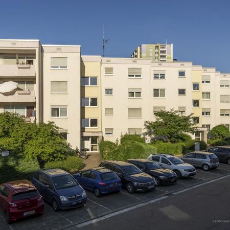 4-Zimmer-Wohnung in Neustadt an der Weinstraße - Photo 3