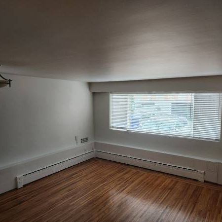 Updated Bachelor Suite in Marpole - Photo 1