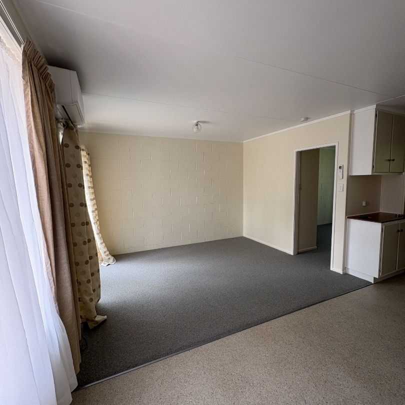 Central Spacious One-bedroom unit - Victoria - Photo 1