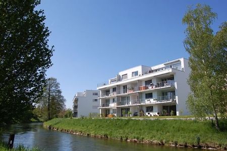 Petit mais bien - Photo 5