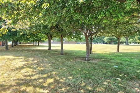 Royal Haslar - Photo 4