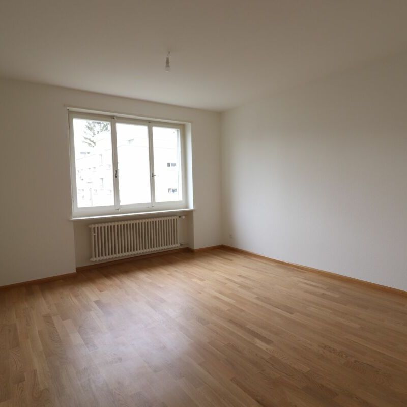 Erstvermietung nach Teilsanierung - gemütliche 3-Zimmerwohnung in Reinach - Foto 1