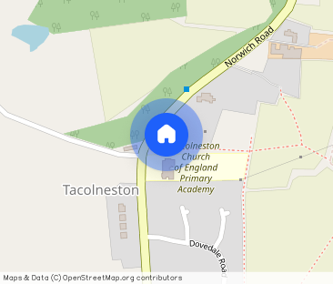 Norwich Road, Tacolneston, Norwich - Photo 1