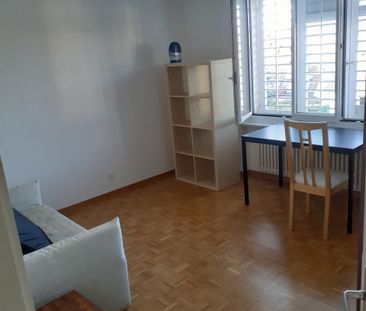 Optimale Lage in Wollishofen - Photo 4