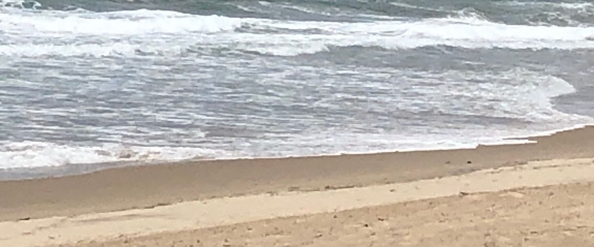 Kippa-ring - Photo 1