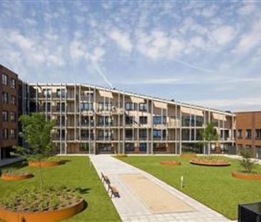 Te huur: Chris Barberpad 1 - Photo 6