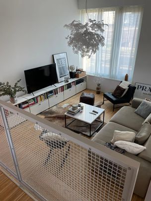 4.5 Zimmer, 113 m², 2. Stock - Photo 1