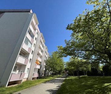 3-Raum-Wohnung mit Einbauküche und Balkon - Foto 4