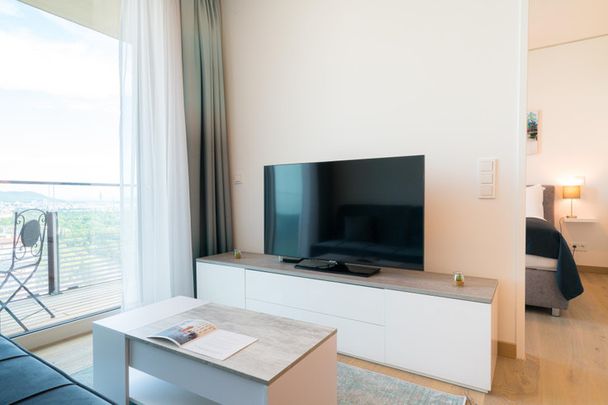 Schnirchgasse - Foto 1