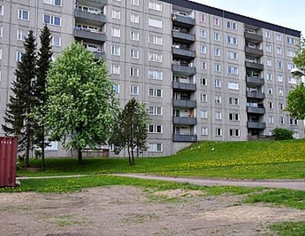 Baron Rogers Gata 15 - Foto 1