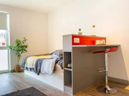 Deluxe Plus Studio - Photo 5