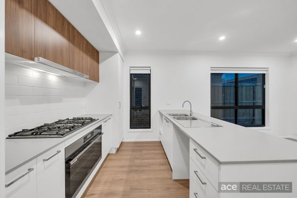 73 Cordata Drive, Point Cook VIC 3030 - House For Rent | Domain - Photo 1