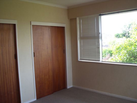 4 Browning Street, Roslyn, Palmerston North - Photo 1