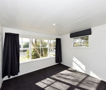 Spacious Family Living with Bonus Sleepout in Woolston - Photo 1