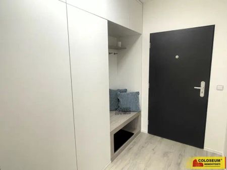Pohořelice, pronájem novostavby luxusního bytu, OV 1+kk, 38 m - Fotografie 4
