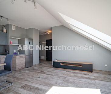 Piła, Zamość - Фото 2