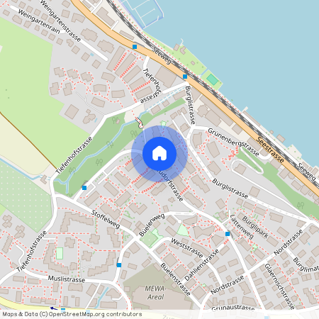 Neudorfstrasse 52, 8820 Wädenswil