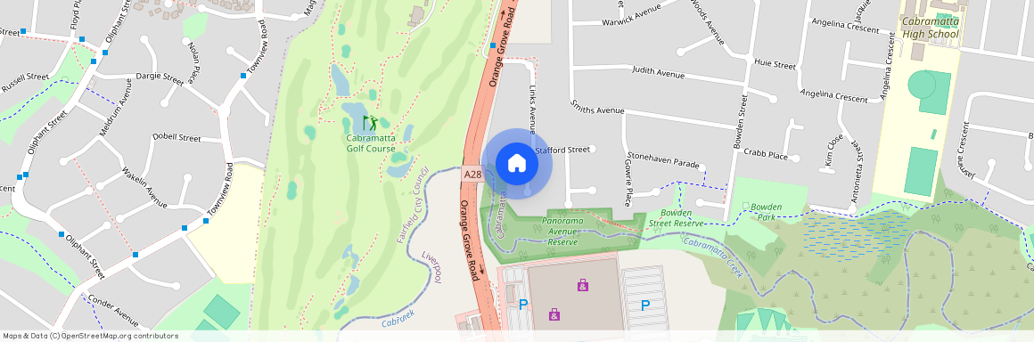 33 Links Avenue, Cabramatta 2166, New South Wales