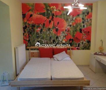 ΚΑΡΤΕΡΟΣ 1ΧΩΡΗ ΓΚΑΡΣΟΝΙΕΡΑ ΕΝΟΙΚΙΑΣΕΙΣ 35555 - Φωτογραφία 3