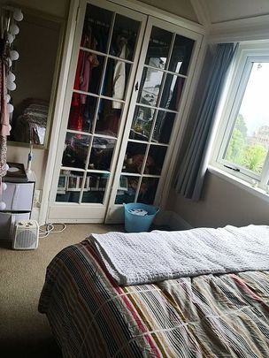 Spacious 6BR Kelburn Haven - Photo 1