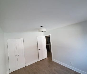 Mistral Immobilier — 1 Bedroom - Renovated - Photo 2