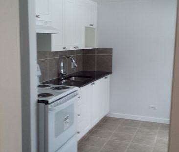 RENOVATED 1 BDRMS LOWER DUPLEX FOR RENT NEAR STAMPEDE! - Photo 6