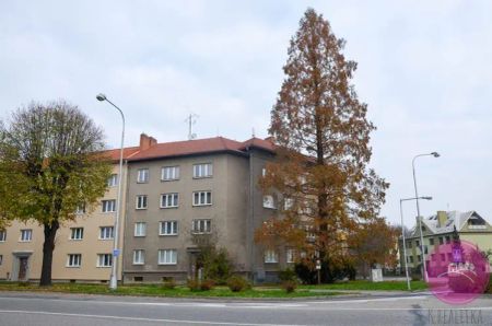 Pronájem prostorného cihlového bytu o dispozici 1+1 v Olomouci - Fotografie 4