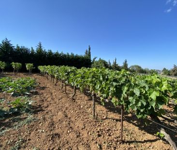 Ενοικίαση κατοικίας, 250 τ.μ., Άγιοι Ανάργυροι, 2.500 € - Photo 2