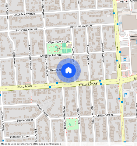 ** Newcastle Street, SA 5046, Warradale