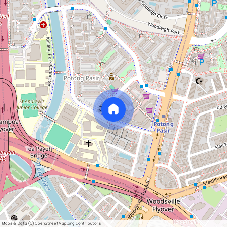 12 Meyappa Chettiar Road (358474), Singapore