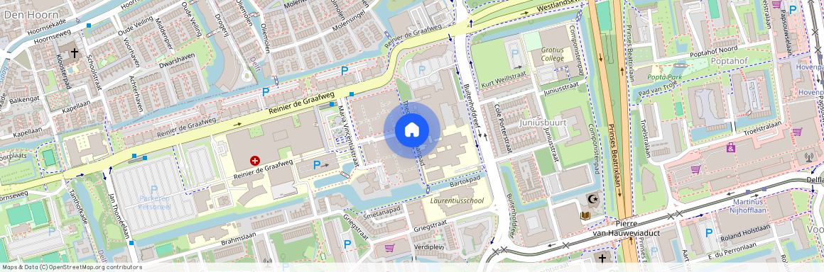 Reinier de Graafbuurt, 2625 DZ, Theodora Eigemanpad, Delft