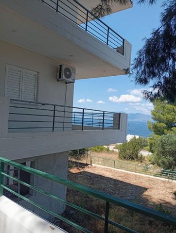Διαμέρισμα για ενοικίαση Θεολόγος (Μαλεσίνα) - Photo 4