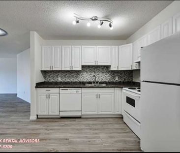 GREAT 2 BED, 1 BATH APARTMENT WITH OUTDOOR PARKING STALL IN THE COM... - Photo 6