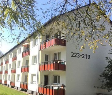 Gemütliche 2 Zimmerwohnung in grüner Lage zu vermieten. - Foto 3