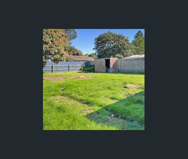 Updated Family Home with Spacious Yard - Photo 4