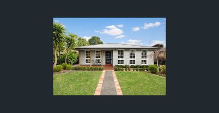 Contemporary comfort in lovely Lakewood - Photo 4