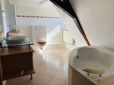 location Appartement 3 pièces à Colmar - REF 197-18IB - Photo 2