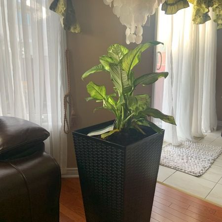 For Lease - 115 Macara Crescent, Kanata, Ontario - Photo 3