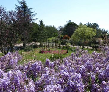 A LOUER - MAISON CARPENTRAS - 5 Pièces 140.38m² - Photo 1