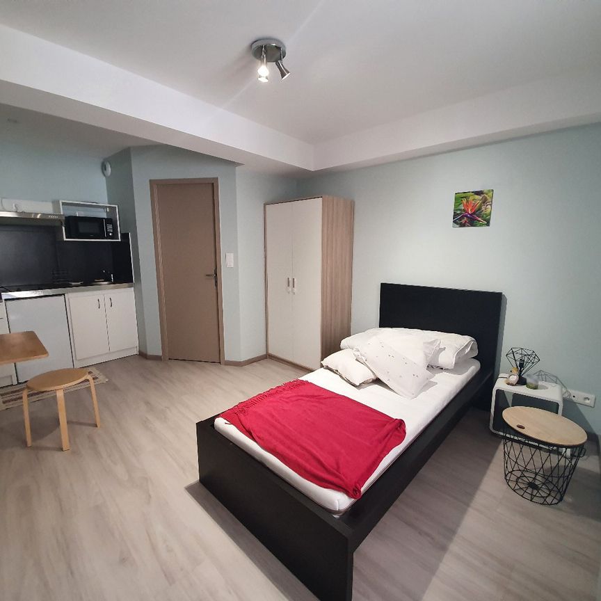 Location Appartement 1 pièce 16m² CASTRES 81100 - Photo 1